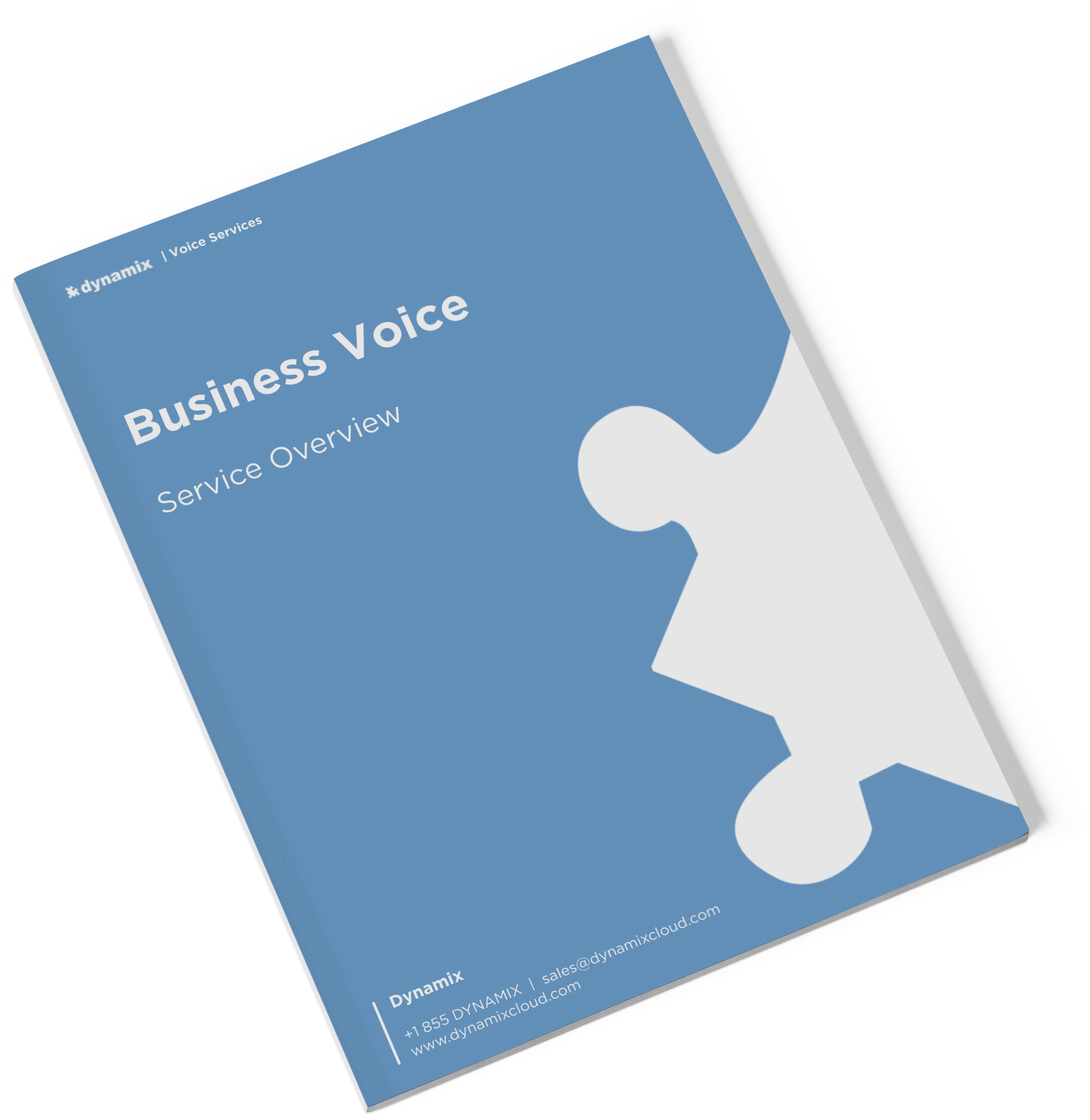 business-voice-product-brochure